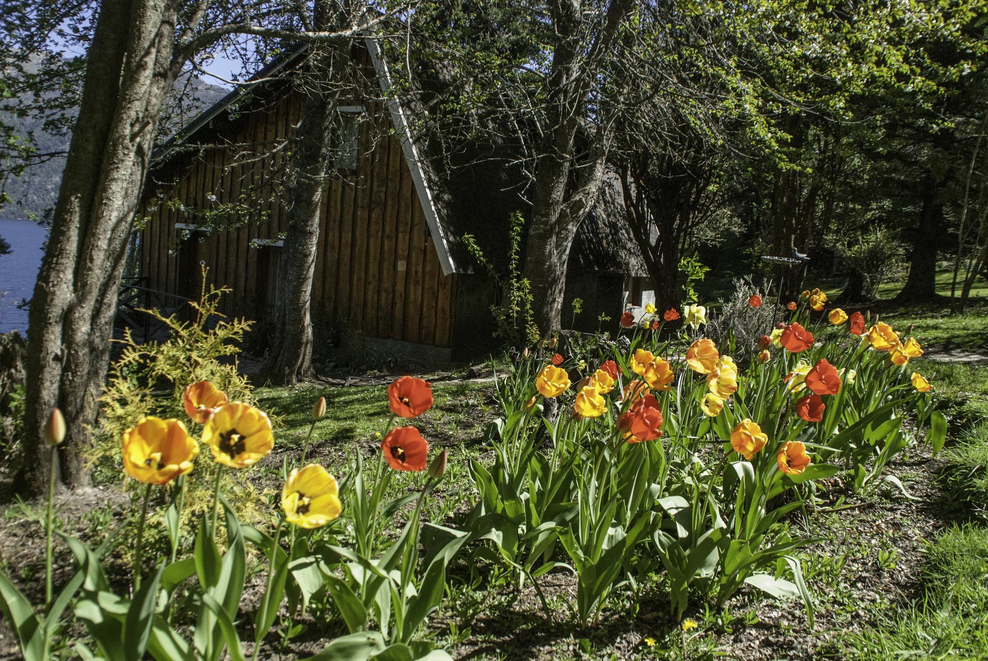 Cabanas Villa Panil San Carlos de Bariloche Exteriér fotografie